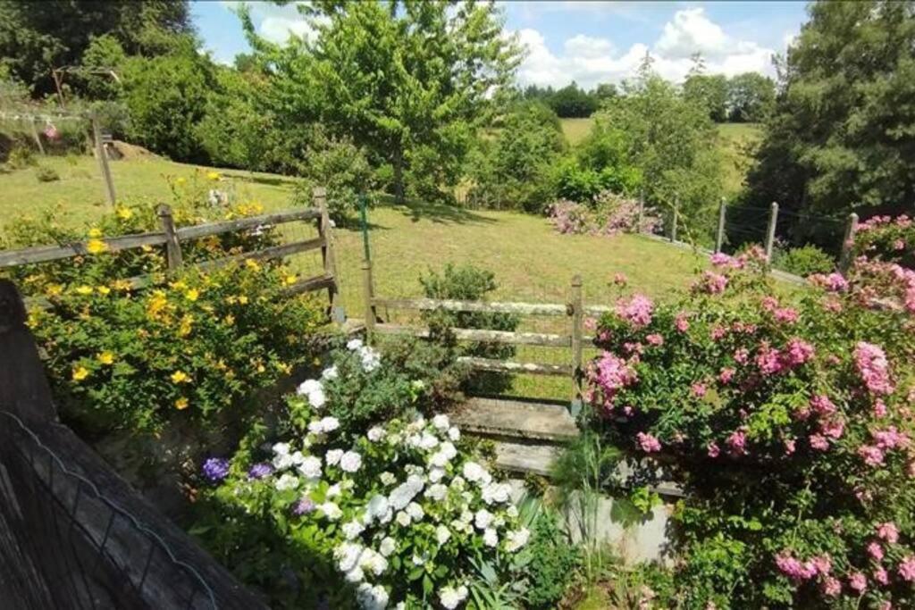 Cottage By The Chateau With Pool In National Parc Les Salles-Lavauguyon Bagian luar foto