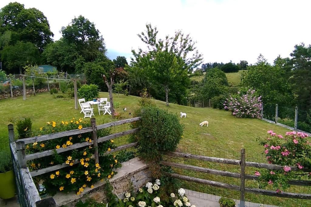 Cottage By The Chateau With Pool In National Parc Les Salles-Lavauguyon Bagian luar foto